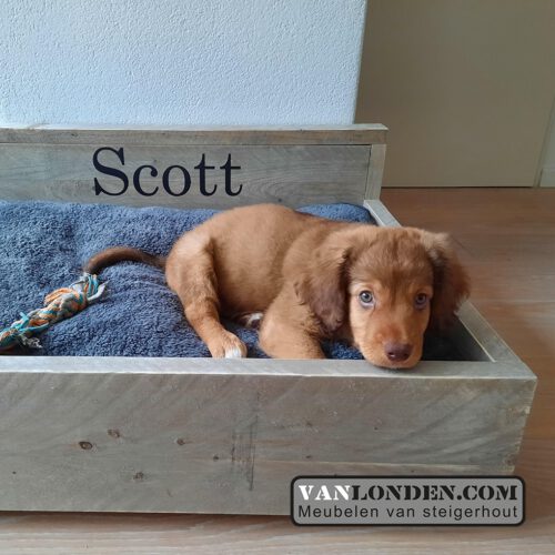Steigerhouten hondenmand Bello (Steigerhouten dieren accessoires kopen)