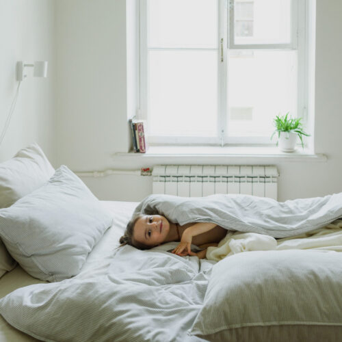 Dekbedden Vanlonden (Accessoires voor steigerhouten bedden)