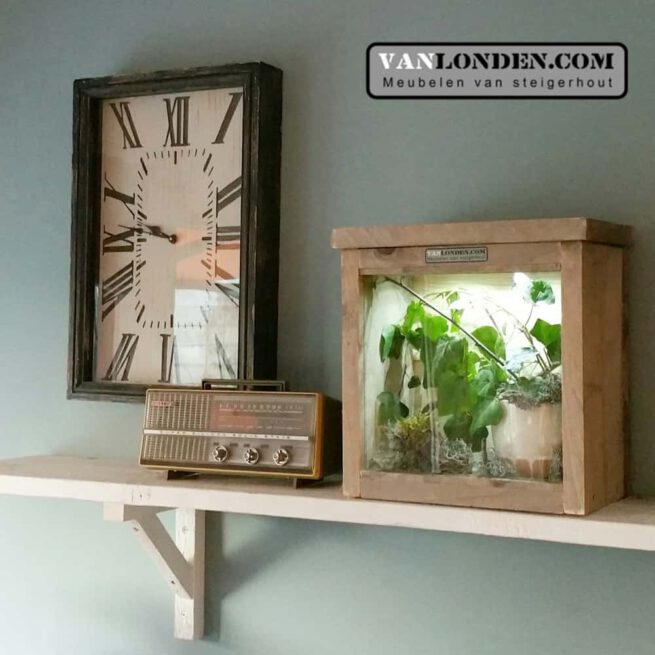 steigerhouten terrarium Joey (Steigerhouten accessoires online bestellen)