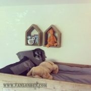 Steigerhouten wandkastje Joep (Steigerhouten accessoires online bestellen)